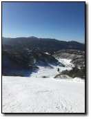 [IMG_5998.JPG]