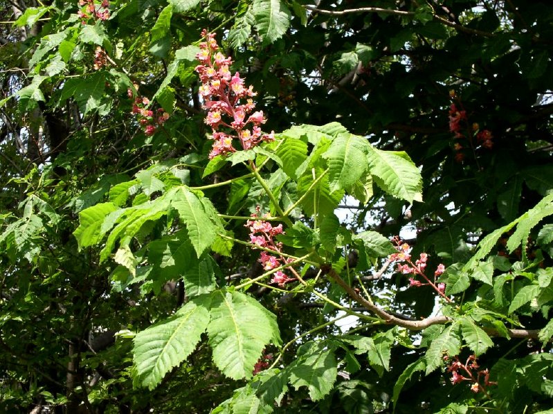040501-26m