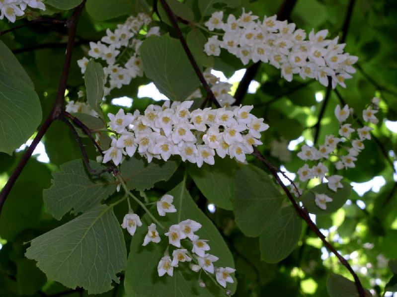 040501-31m