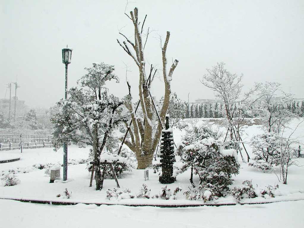 010127snow