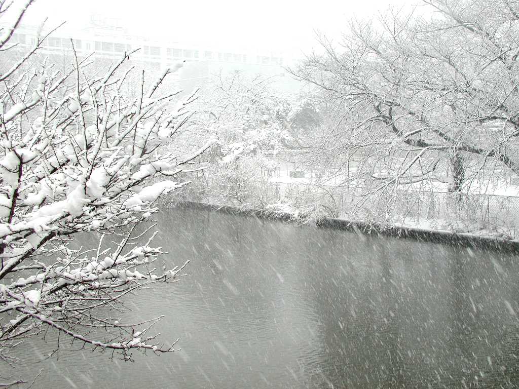 010127snow