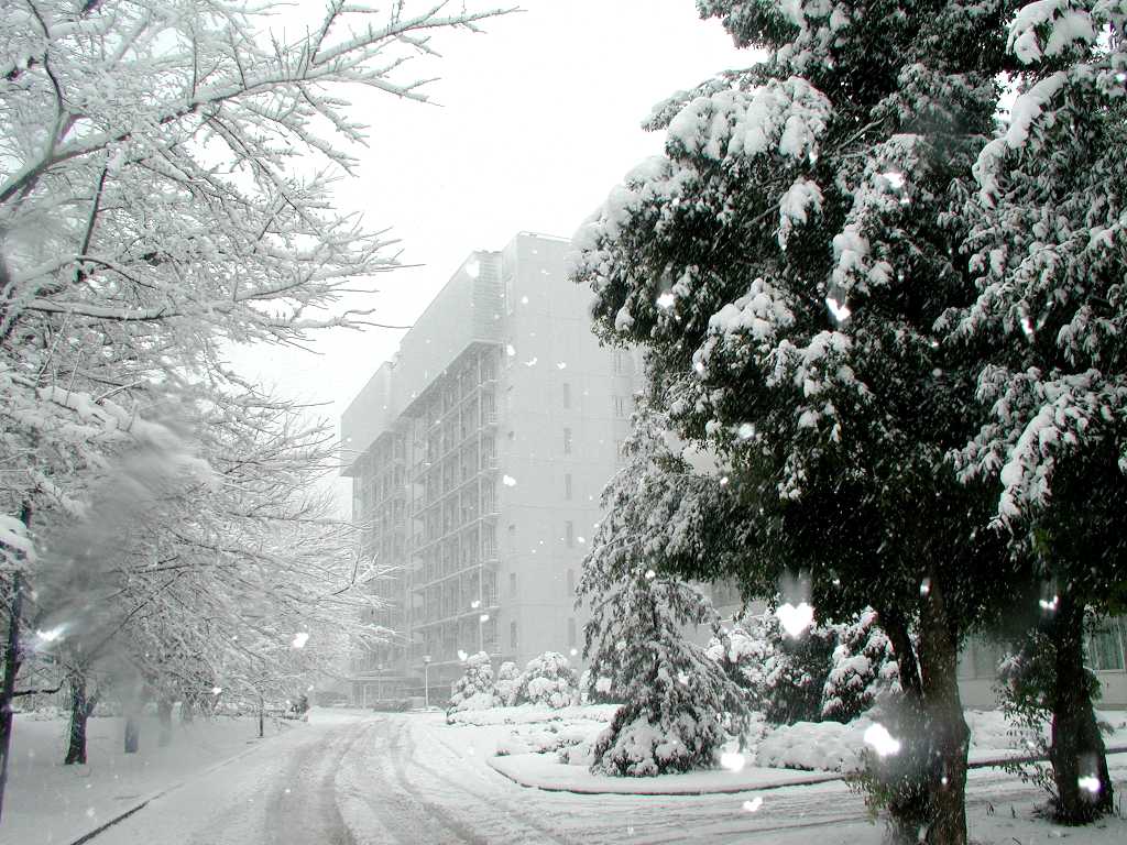 imgrc0117848188.jpg